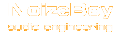 NoizeBoy | Audio Engineering